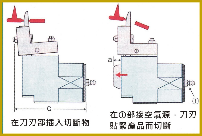 圖片 4